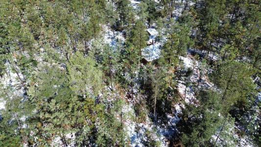 San isidro s/n 34950 El Salto, Dgo. México 262,, Pueblo Nuevo, Durango 34950, Mexico