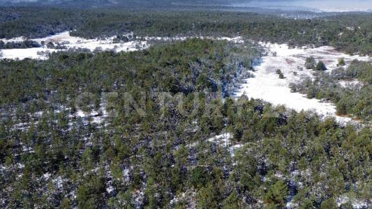 San isidro s/n 34950 El Salto, Dgo. México 262,, Pueblo Nuevo, Durango 34950, Mexico