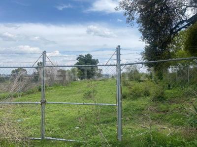 Totolac, Tlaxcala 90168, Mexique