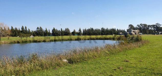 Las Calandrias Cardales S/N, Campana, GBA Norte 00001, Argentine