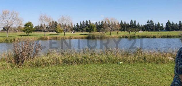 Las Calandrias Cardales S/N, Campana, GBA Norte 00001, Argentine