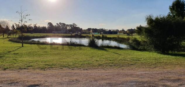Las Calandrias Cardales S/N, Campana, GBA Norte 00001, Argentine