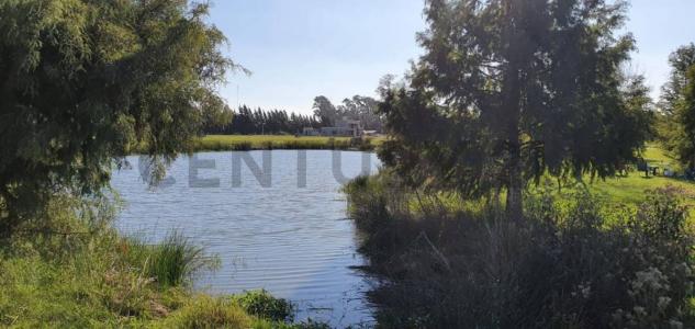 Las Calandrias Cardales S/N, Campana, GBA Norte 00001, Argentine