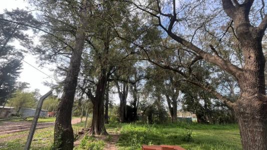 LAS RETAMAS Y ETIOPIA , Merlo, GBA Oeste 1722, Argentina