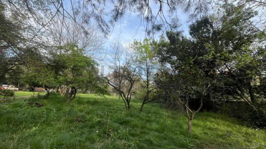 LAS RETAMAS Y ETIOPIA , Merlo, GBA Oeste 1722, Argentina