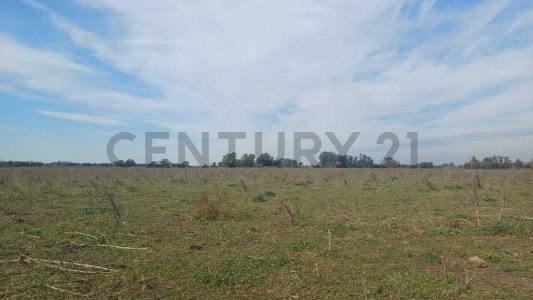 Luján, GBA Oeste 00001, Argentina