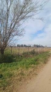 Luján, GBA Oeste 00001, アルゼンチン