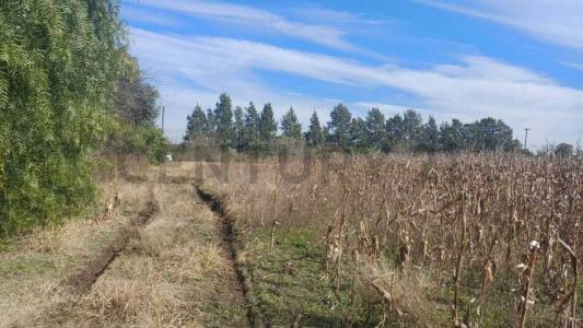 Luján, GBA Oeste 00001, アルゼンチン