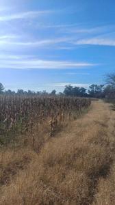 Luján, GBA Oeste 00001, アルゼンチン