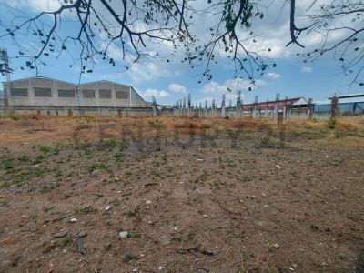 Valencia, Carabobo 2001, Venezuela