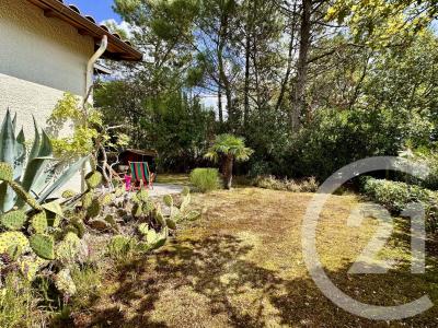 Lanton, Aquitaine 33138, France