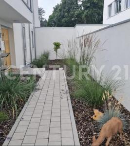 Hanau, Hessen 63454, Germania