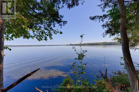 0 SMITHS BAY ROAD, North Algona Wilberforce, Ontario K0J 1T0, CANADÁ
