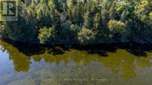 0 SMITHS BAY ROAD, North Algona Wilberforce, Ontario K0J 1T0, CANADÁ