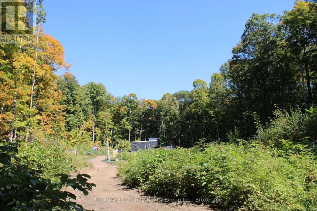 1295 BINSCARTH TRAIL, Dysart Et Al (guilford), אונטריו K0M 1S0, קנדה