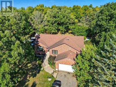 4555 GLEN ROY ROAD, South Glengarry, أونتاريو K0C 1L0, كندا