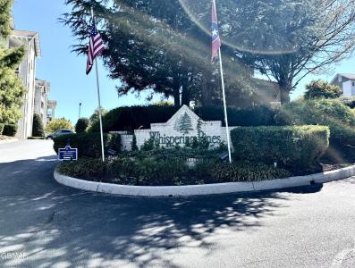 205 Ogle Drive, Pigeon Forge, Tennessee 37863, USA