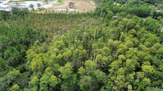 Pine Tree Drive, EUSTIS, Флорида 32726, Соединенные Штаты