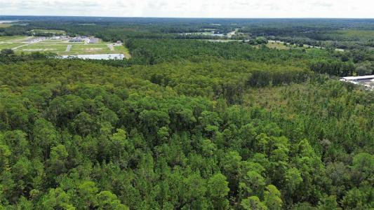 Pine Tree Drive, EUSTIS, Флорида 32726, Соединенные Штаты