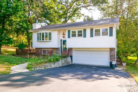 36661 N Oakwood Dr, Lake Villa, Illinois 60046, Amerika Birleşik Devletleri