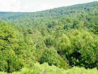 Mountain Road, Smithville, Oklahoma 74957, Estados Unidos