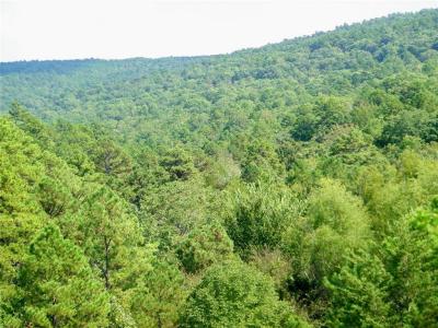 Mountain Road, Smithville, Oklahoma 74957, Estados Unidos