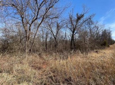 104 Jesse Street, Norman, Оклахома 73071, Соединенные Штаты