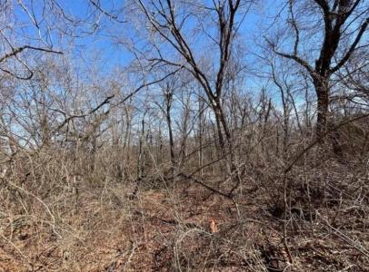 104 Jesse Street, Norman, Оклахома 73071, Соединенные Штаты