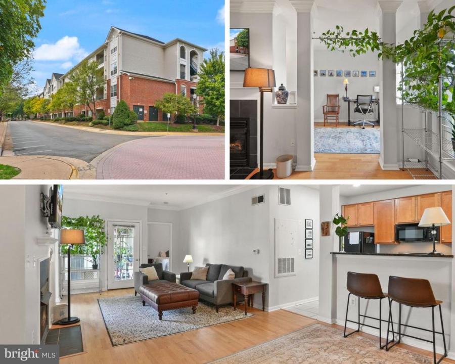 4854 Eisenhower Avenue , 445, Alexandria, וירג'יניה 22304, ארצות הברית של אמריקה 