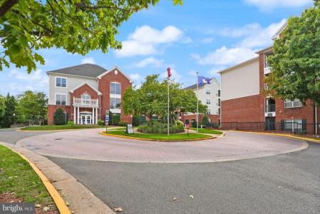 4854 Eisenhower Avenue , 445, Alexandria, וירג'יניה 22304, ארצות הברית של אמריקה 