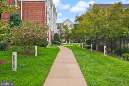 4854 Eisenhower Avenue , 445, Alexandria, וירג'יניה 22304, ארצות הברית של אמריקה 