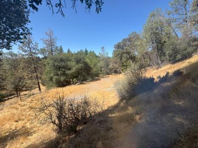 22529 Dog Bar, Grass Valley, California 95949