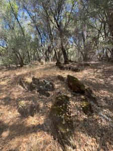 22529 Dog Bar, Grass Valley, California 95949