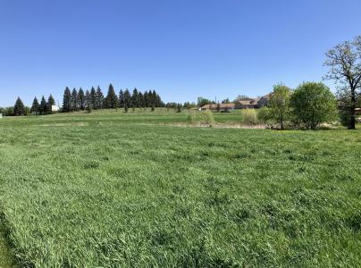 X1400 W Lincoln Avenue, Fergus Falls, Minnesota 56537, Estados Unidos