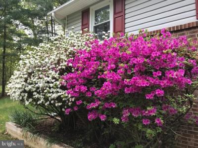 13750 Ensenada Court, Manassas, Virginia 20112