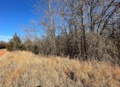 208 Jesse Street, Norman, Оклахома 73071, Соединенные Штаты