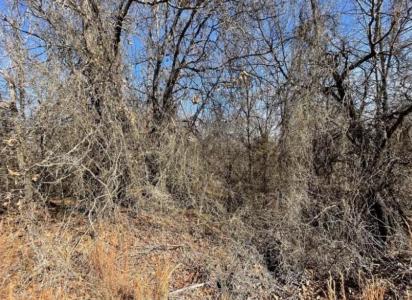 208 Jesse Street, Norman, Оклахома 73071, Соединенные Штаты