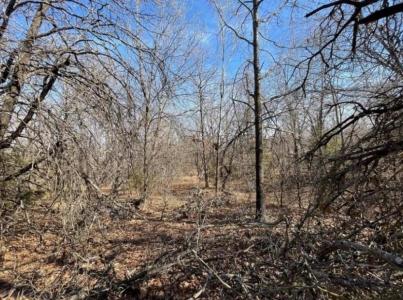 208 Jesse Street, Norman, Оклахома 73071, Соединенные Штаты