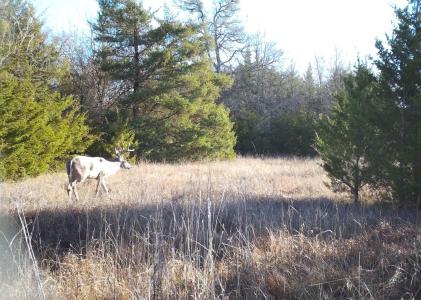 80048 County Road 24200, Roxton, Texas 75477, USA