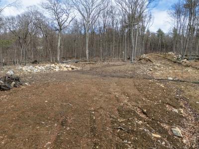 98 Meadow Rd, Bolton, ماساتشوستس 01740, الولايات المتحدة