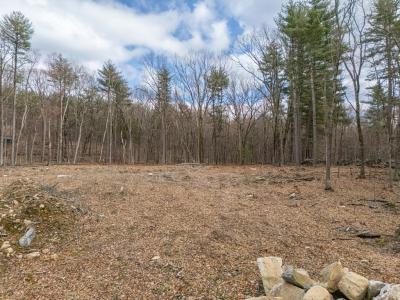 98 Meadow Rd, Bolton, ماساتشوستس 01740, الولايات المتحدة