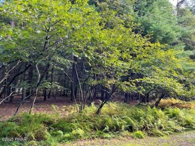 Lot 235 A Hound Road, Dingmans Ferry, Pennsylvanie 18328, États-Unis