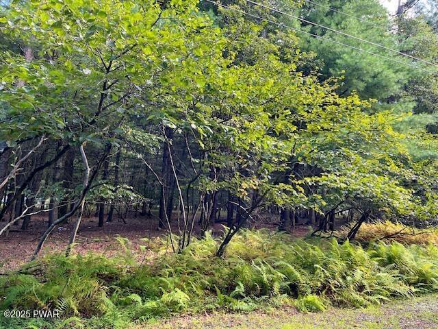 Lot 235 A Hound Road, Dingmans Ferry, Pennsylvania 18328, Estados Unidos