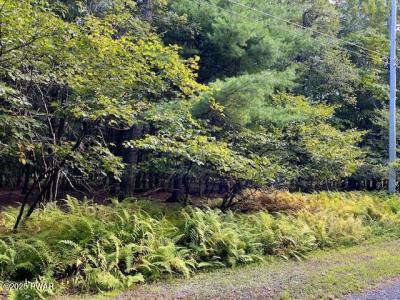 Lot 235 A Hound Road, Dingmans Ferry, Pennsylvania 18328, Estados Unidos