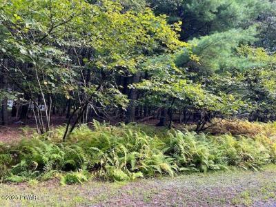 Lot 235 A Hound Road, Dingmans Ferry, Pennsylvania 18328, Estados Unidos