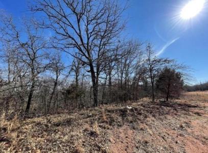 220 Jesse Street, Norman, Оклахома 73071, Соединенные Штаты