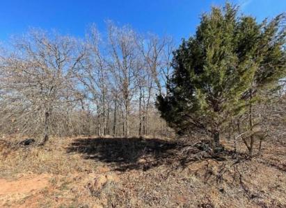 220 Jesse Street, Norman, Оклахома 73071, Соединенные Штаты