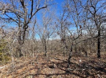 220 Jesse Street, Norman, Оклахома 73071, Соединенные Штаты