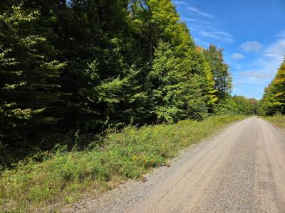 19 AC on Elizabeth Ln., Iron River, Michigan 49935, États-Unis