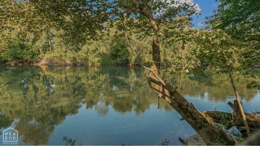 183 Summer Rd, Pocahontas, 阿肯色州 72455, 美國